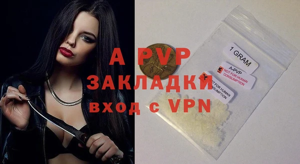 шишки Абинск