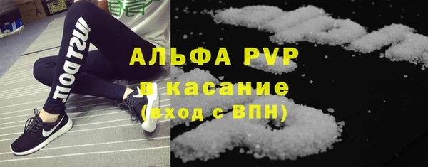 индика Алексин