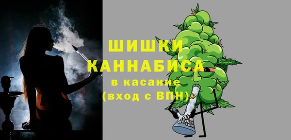 твердый Абаза