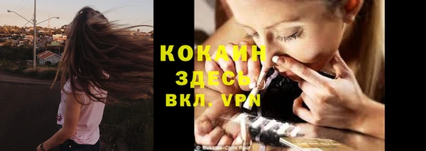индика Алексин