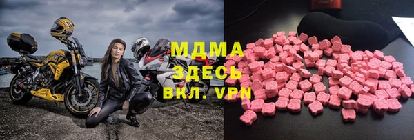 индика Алексин