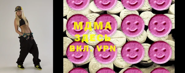 индика Алексин